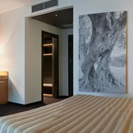 酒店 普林西皮公园、会议及温泉酒店